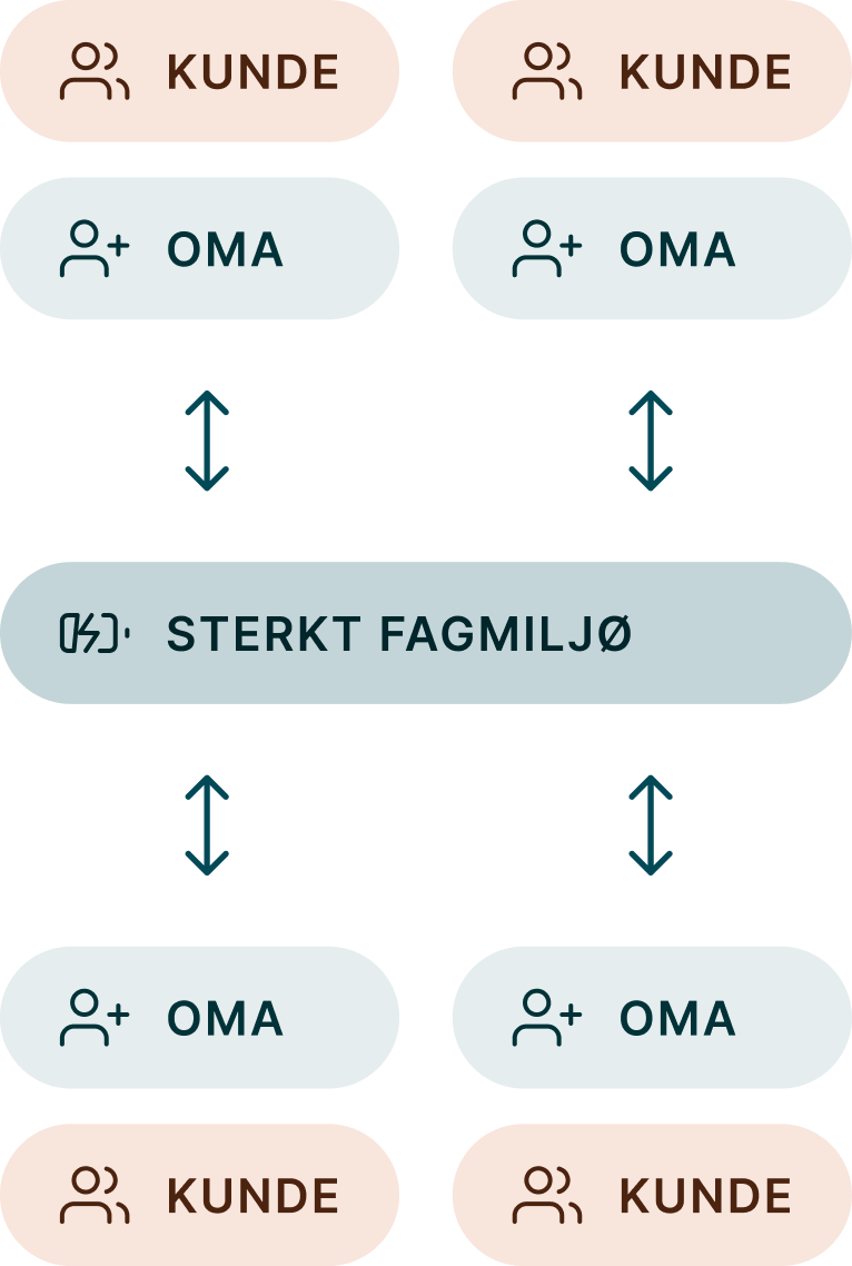 Illustrasjonsbilde av OMA-modellen